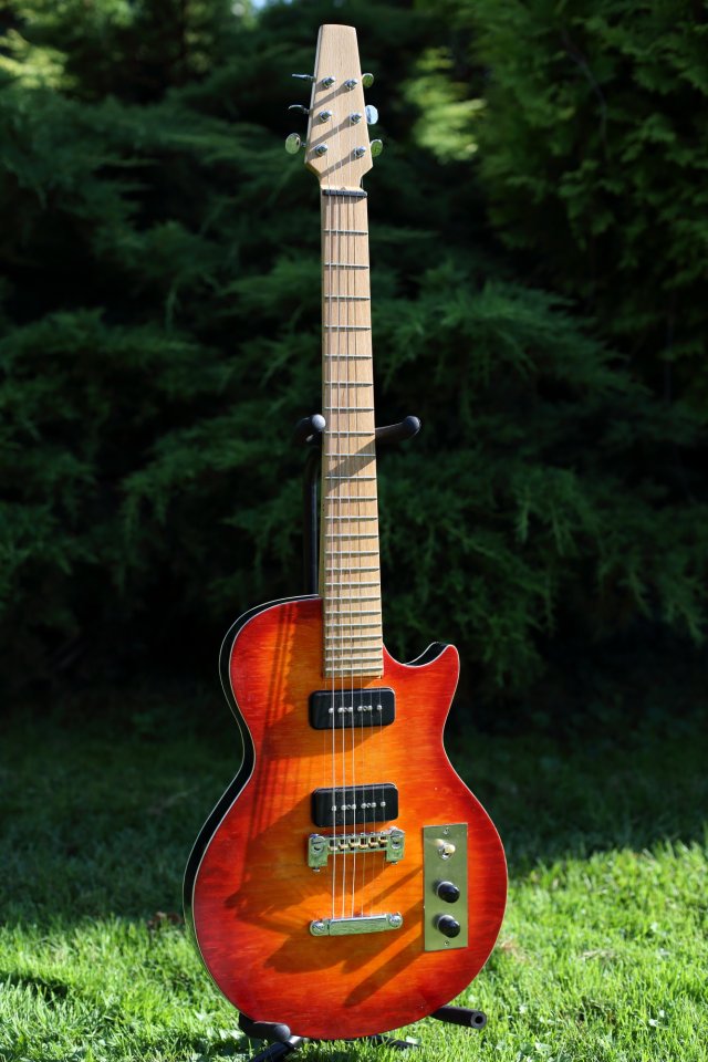 P90_01.JPG