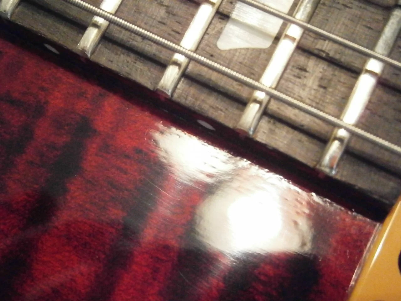 PA080070.webp