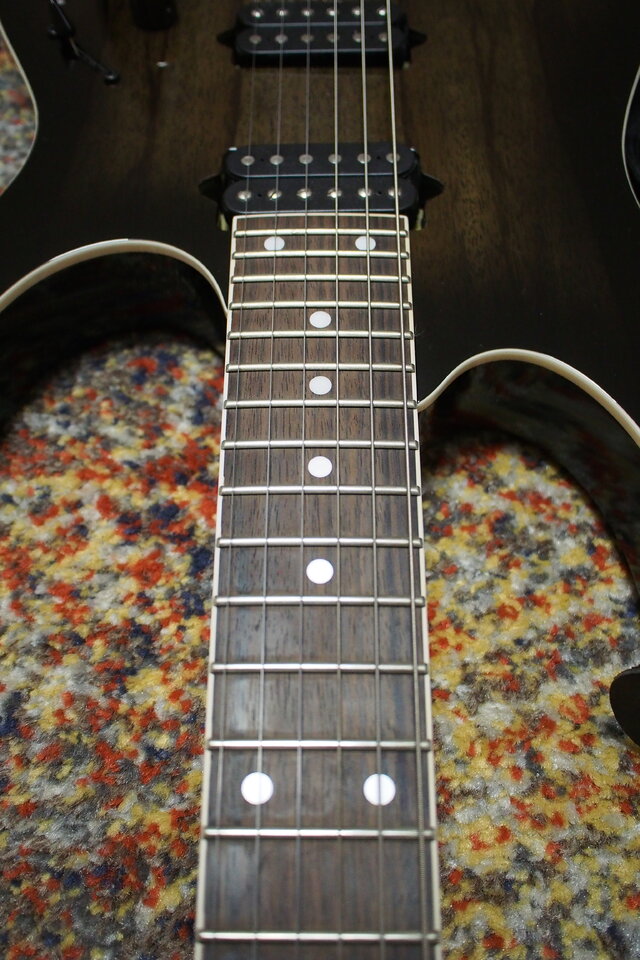 PA191179.JPG