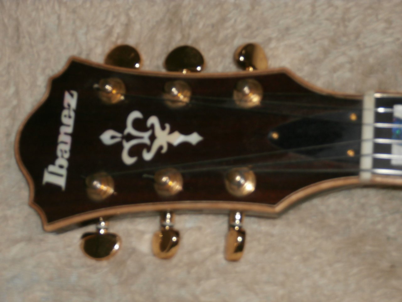 PA300002.JPG