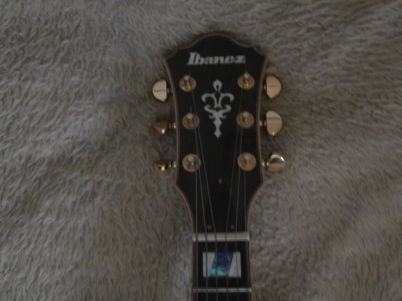 PA300003.JPG