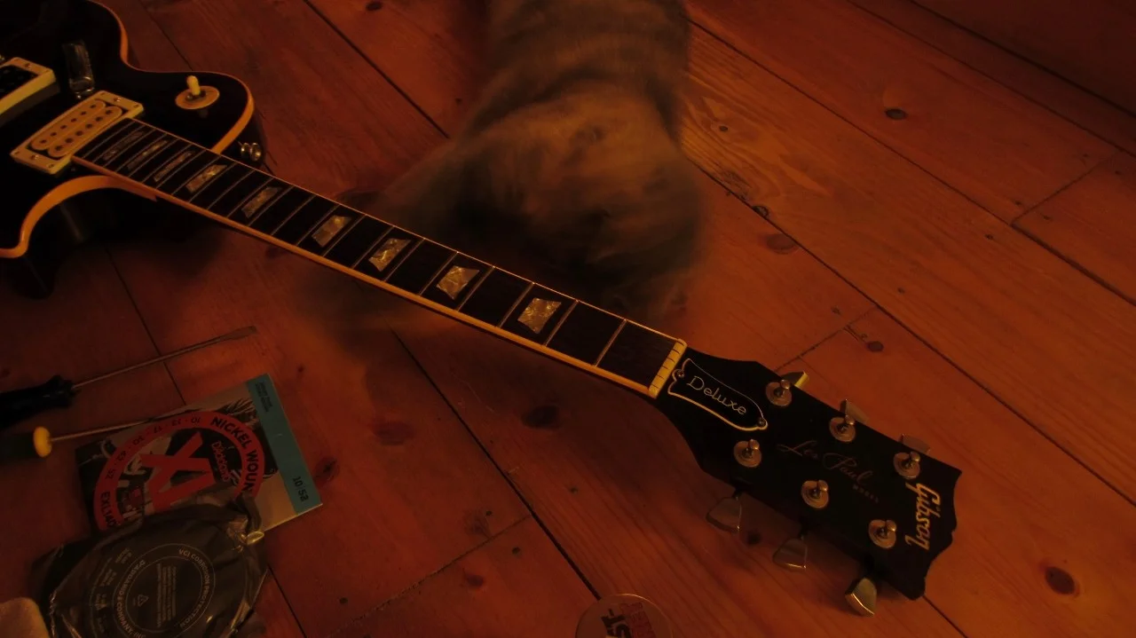 Paula_Paline (3) (1280x719).webp