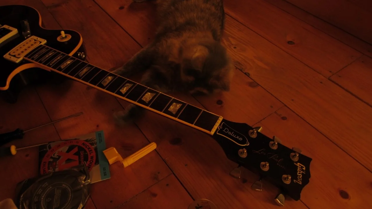 Paula_Paline (4) (1280x719).webp