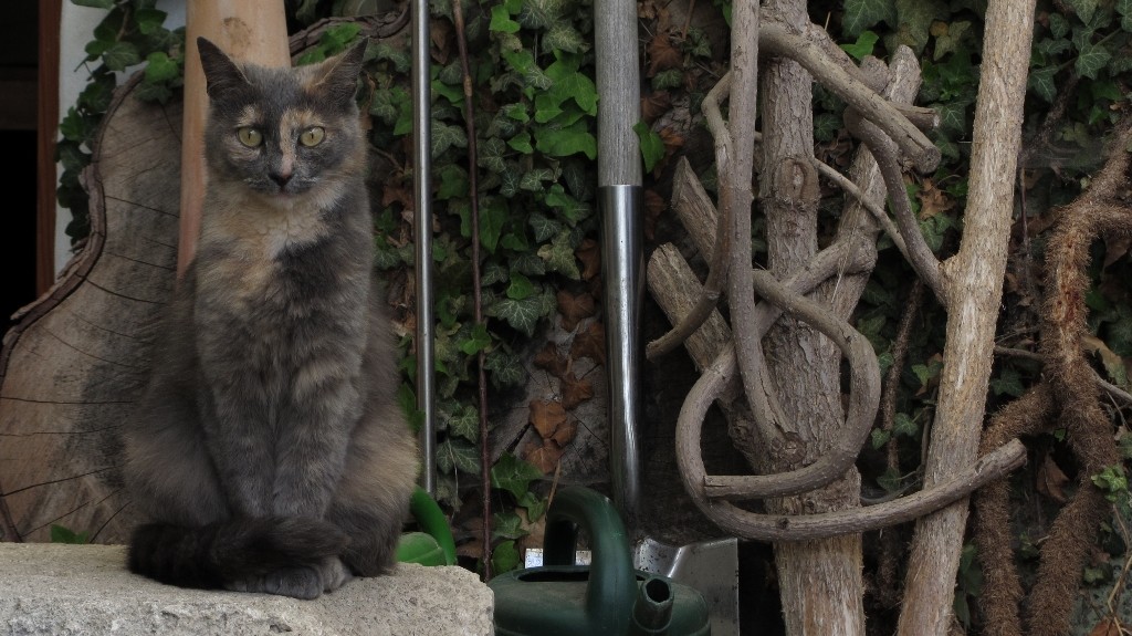 Pauline (10) (1024x575).jpg