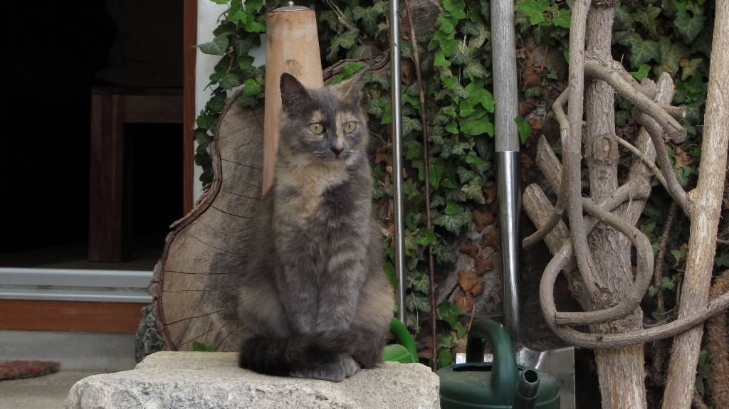 Pauline (2) (1024x575).jpg