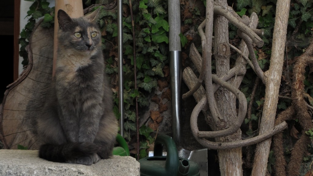 Pauline (9) (1024x575).jpg