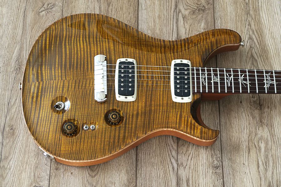 Paul's Guitar Body.jpg