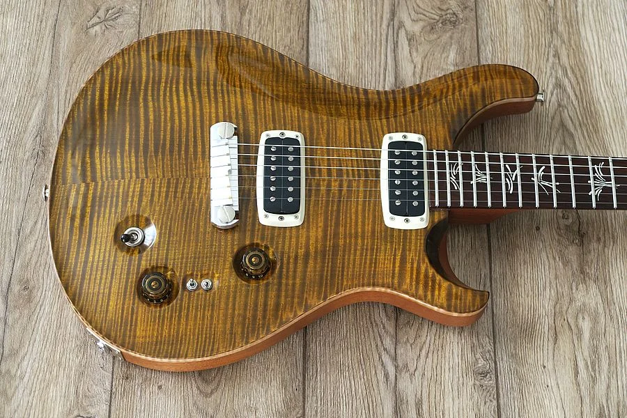 Paul's Guitar Body.webp