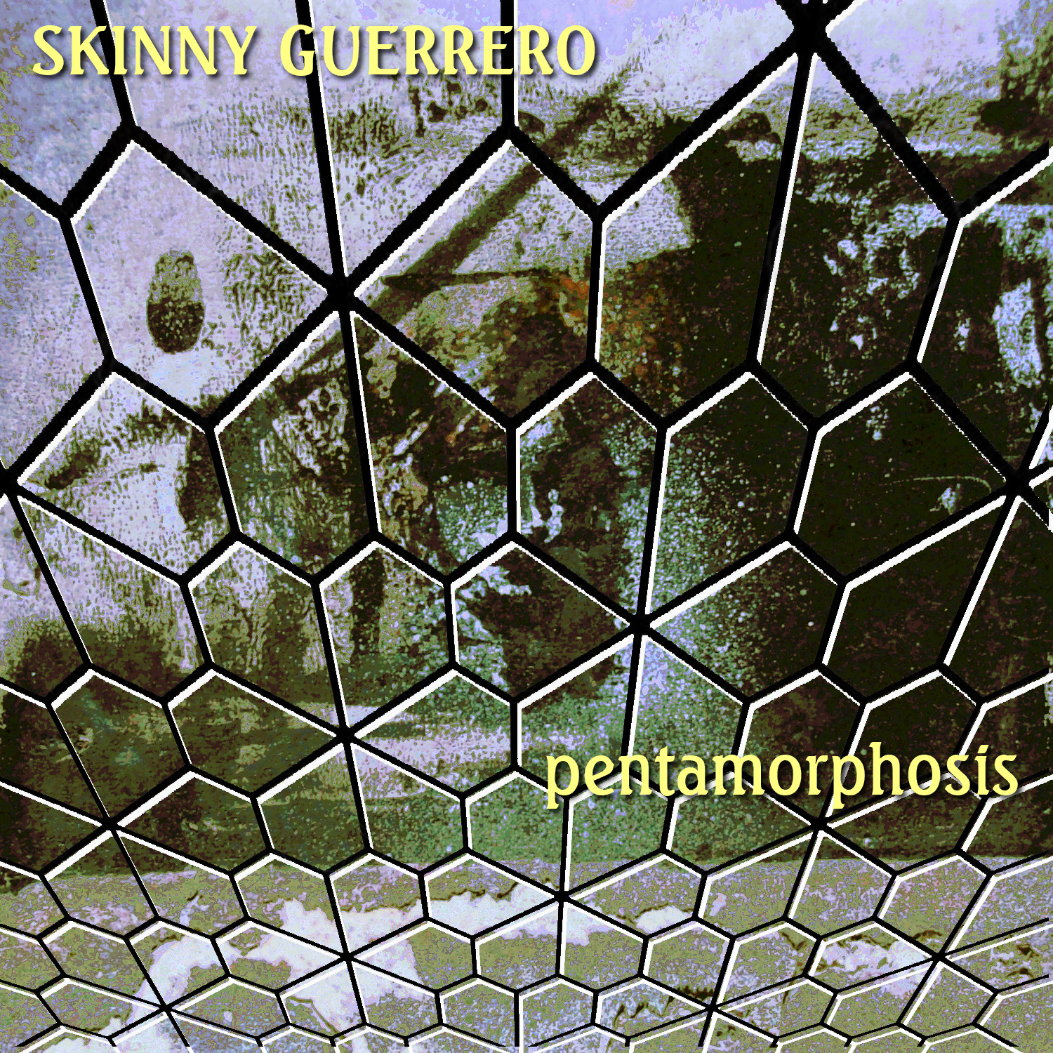 pentamorphosis.jpg