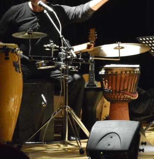 Perc_Mic.jpg