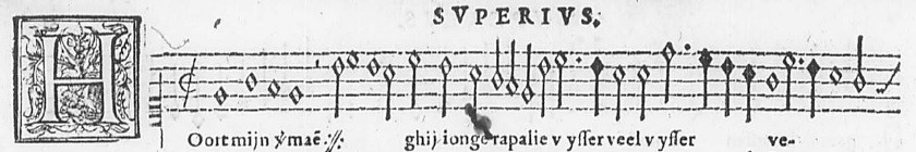 phalese-Superius.jpg