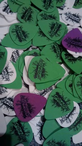 Picks.jpg
