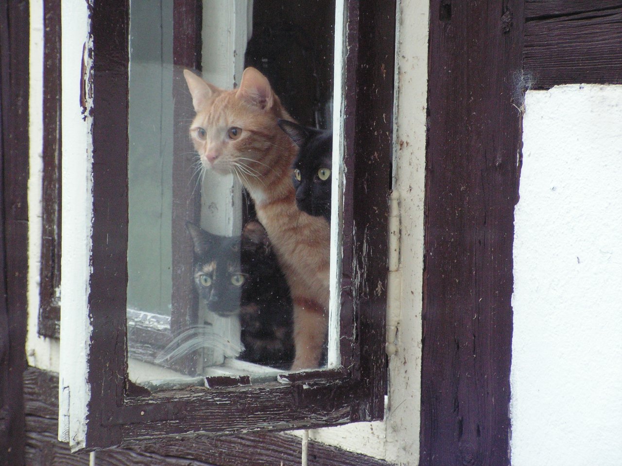 PICT5841.JPG