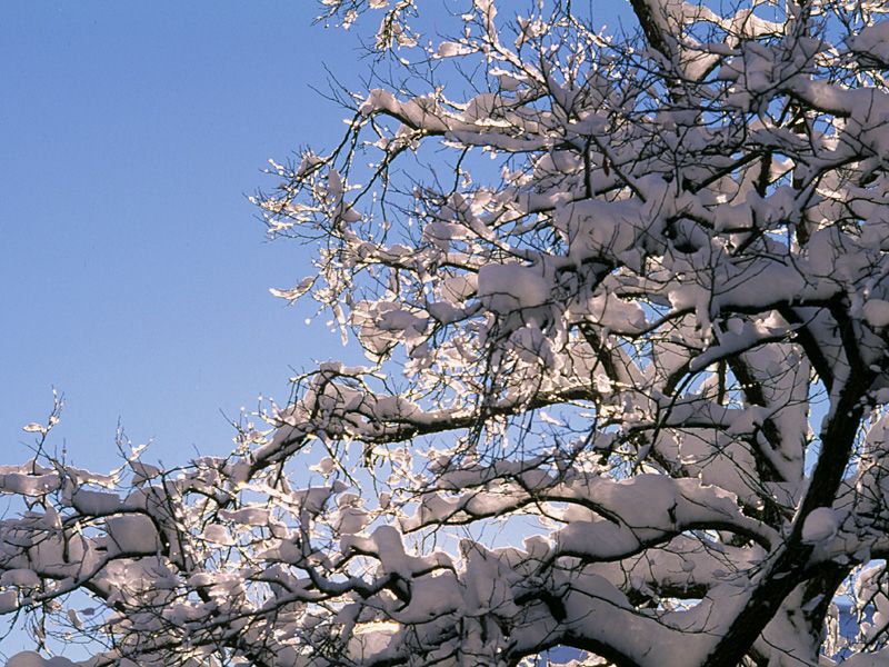 picture-0007.jpg