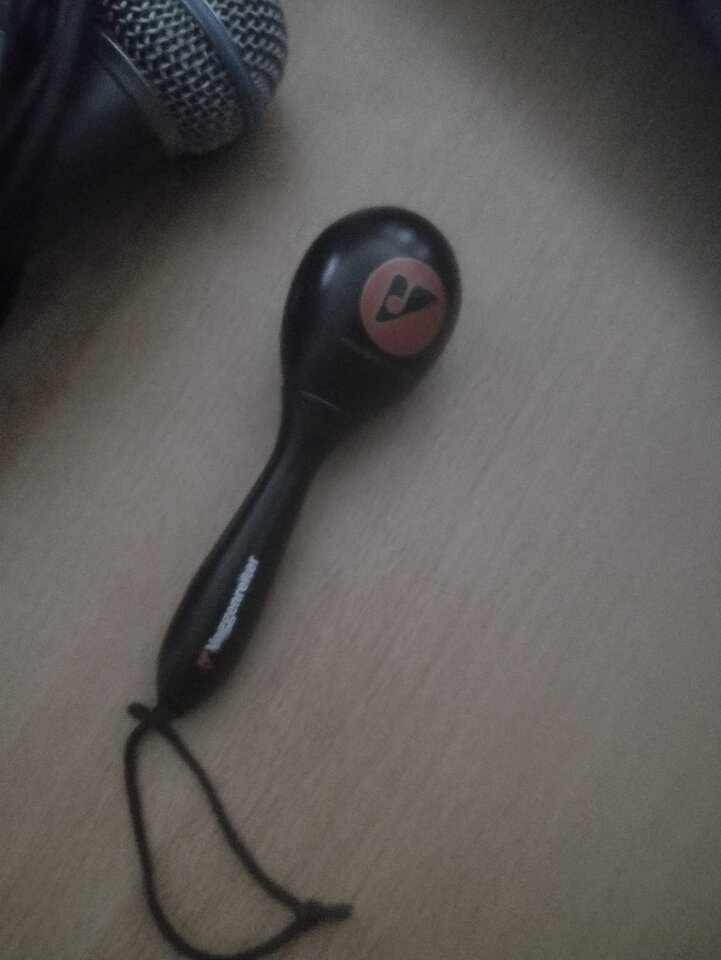 Plastic Egg Maracas1.jpeg