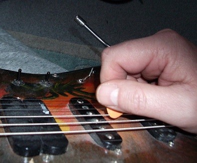 Plektr.JPG