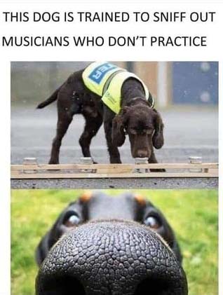 practice_snuff_dog.jpg