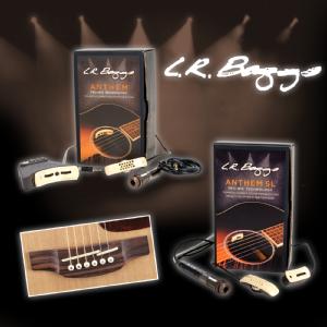 pre_LRBaggs_Anthem_Cluster.jpg