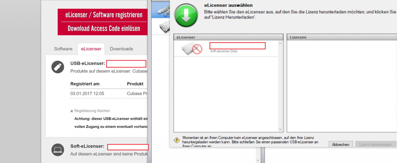 ProblemLicenser.png
