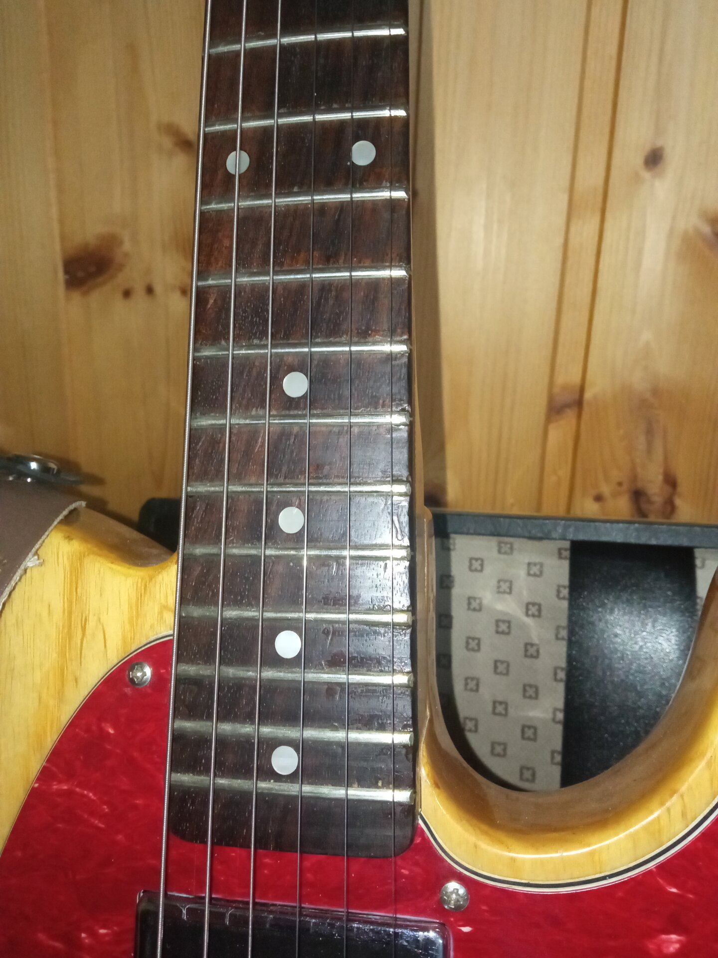 Prot. Frets 1.jpg