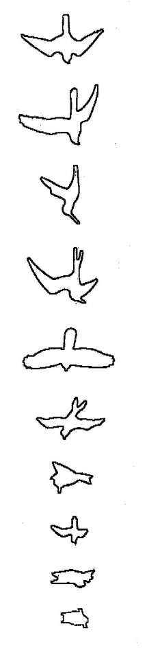 PRS birds.jpg