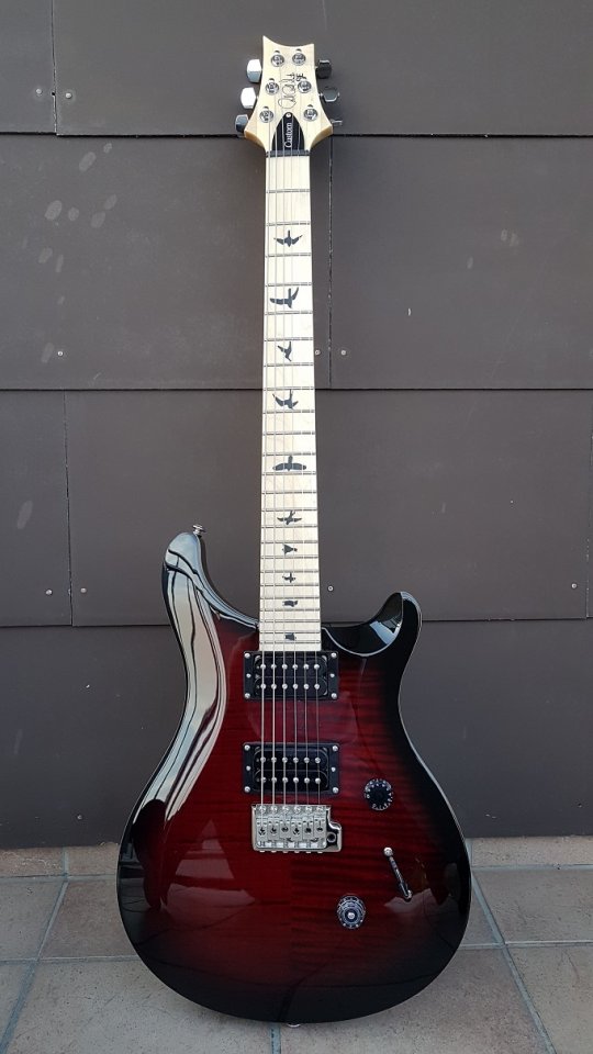 PRS SE Custom 24 01_K.jpg