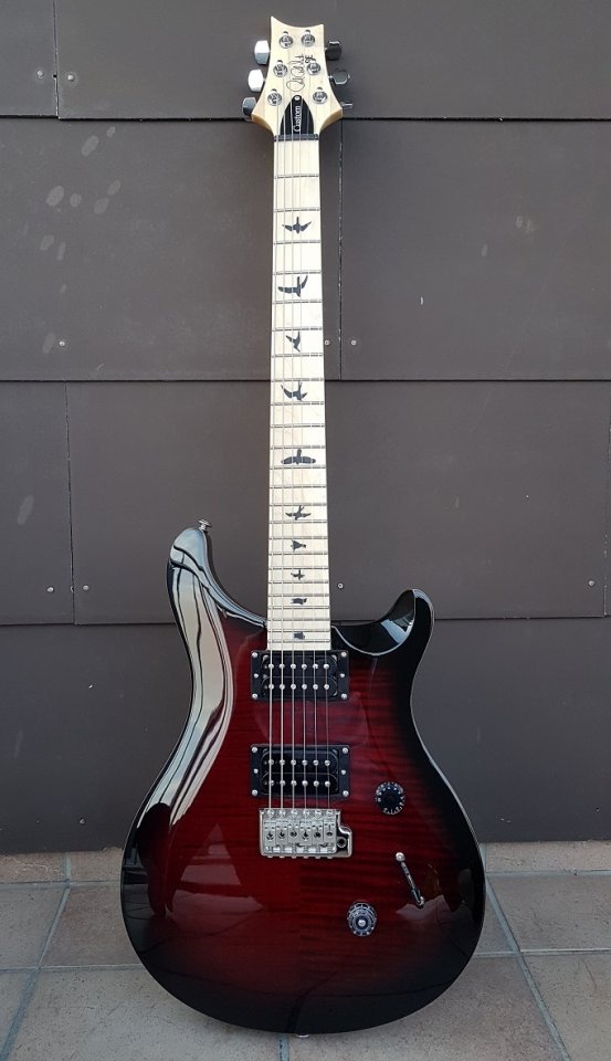 PRS SE Custom 24 01_K.jpg