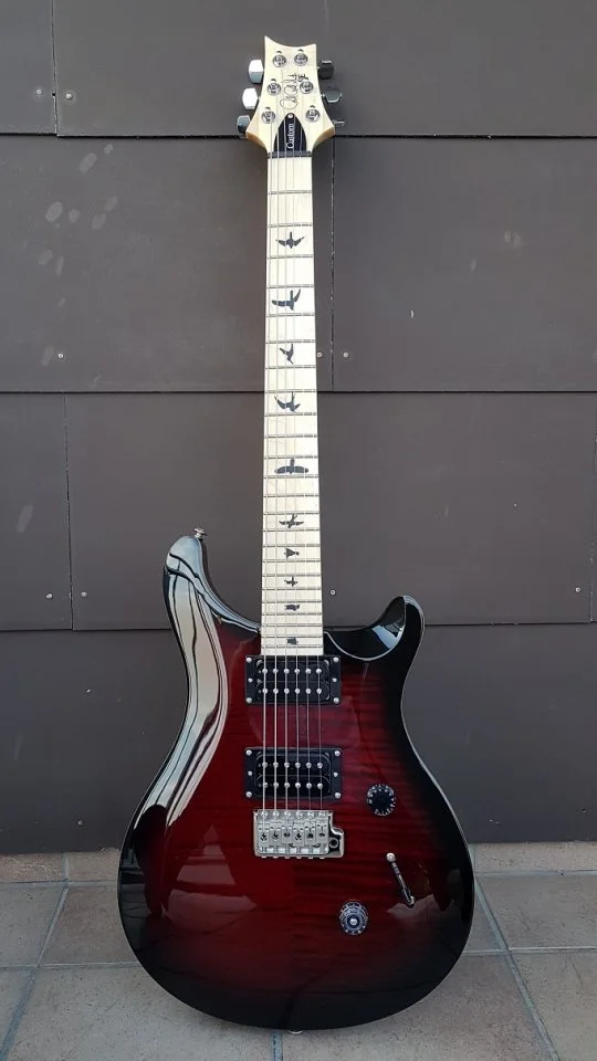 PRS SE Custom 24 01_K.jpg
