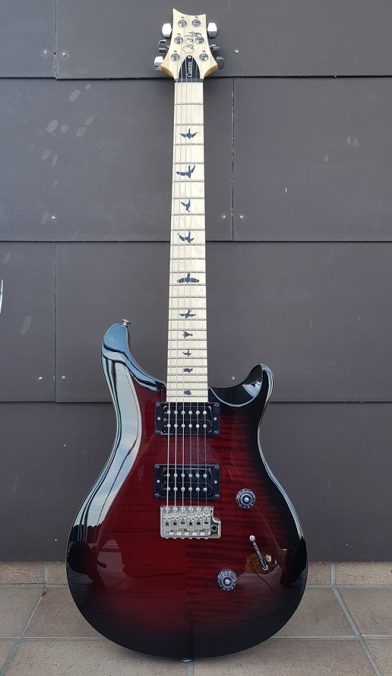 PRS SE Custom 24 02_K.jpg