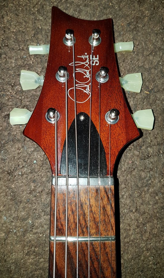 PRS SE Paul's Guitar 02_K.jpg