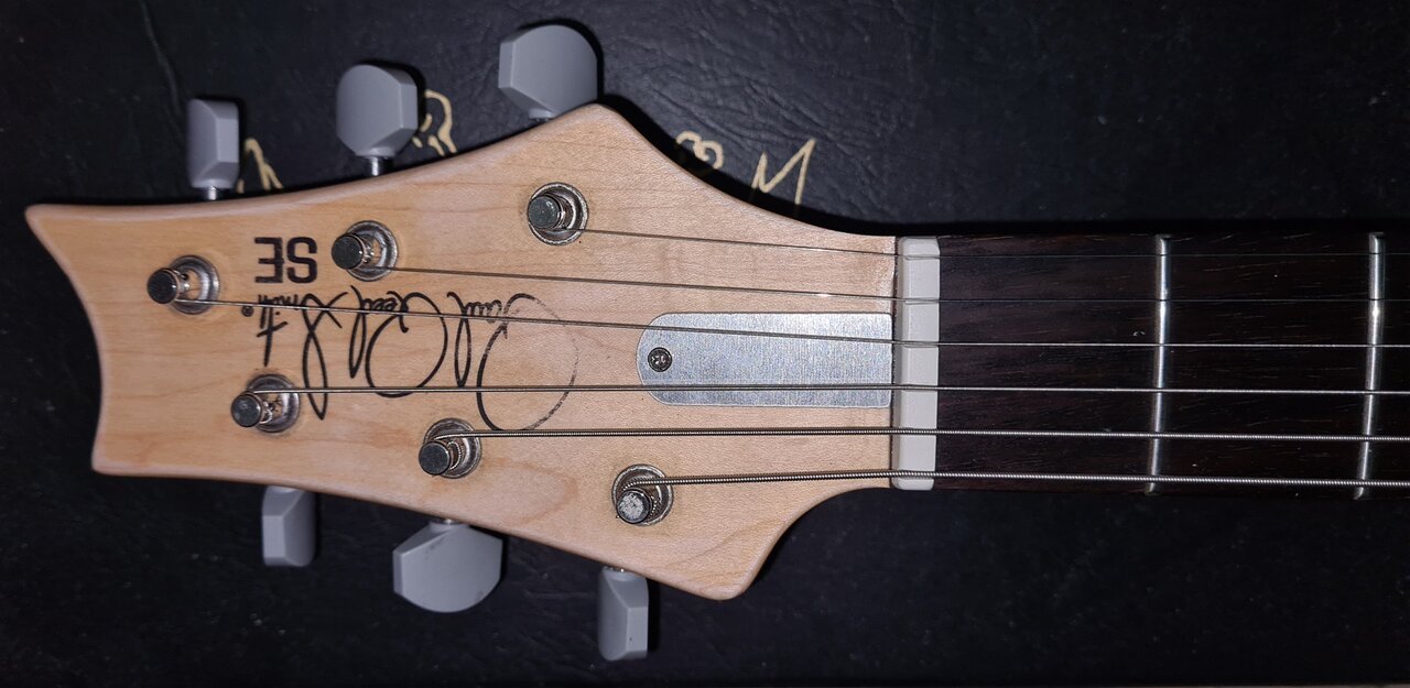 PRS SE Silver Sky 03 Trussrodcover.jpg