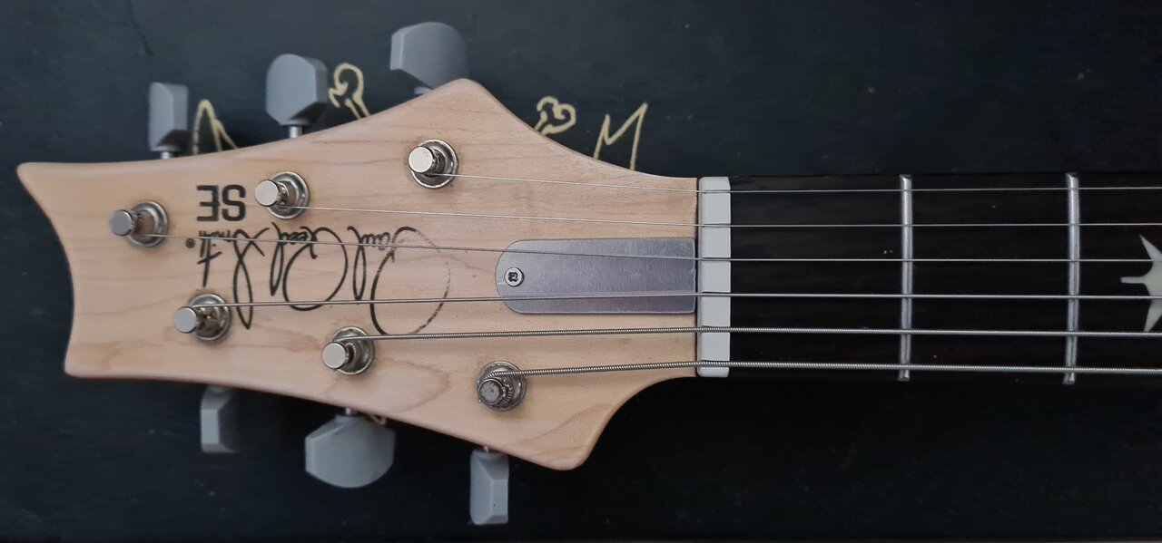 PRS SE Silver Sky 04 Trussrodcover.jpg