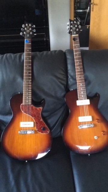 PRS2.jpg