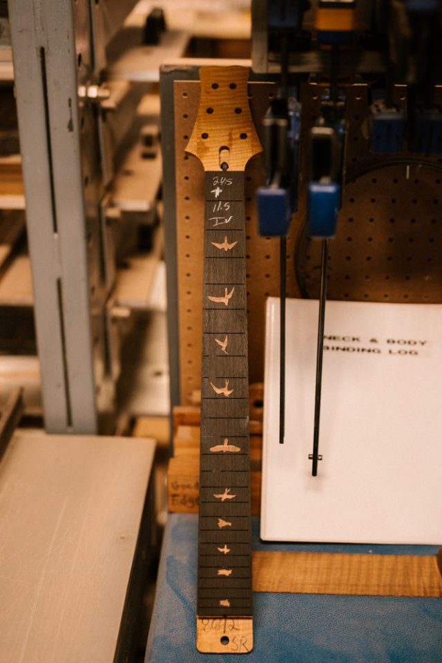 PSF241_10001.JPG