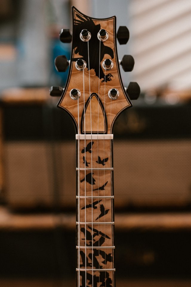 PSF245_100013.JPG