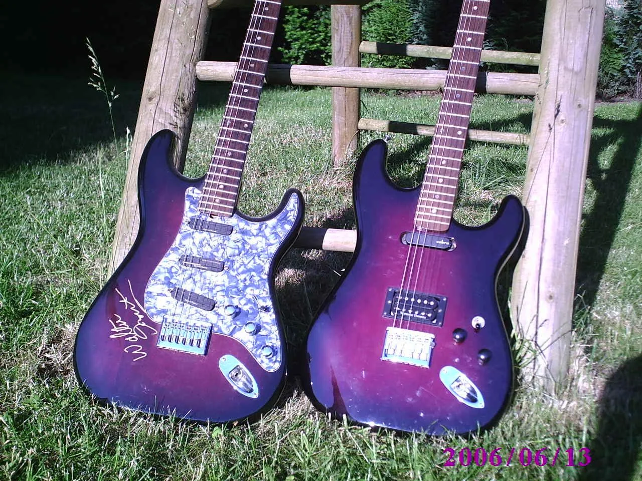 Purple-burst XL.webp