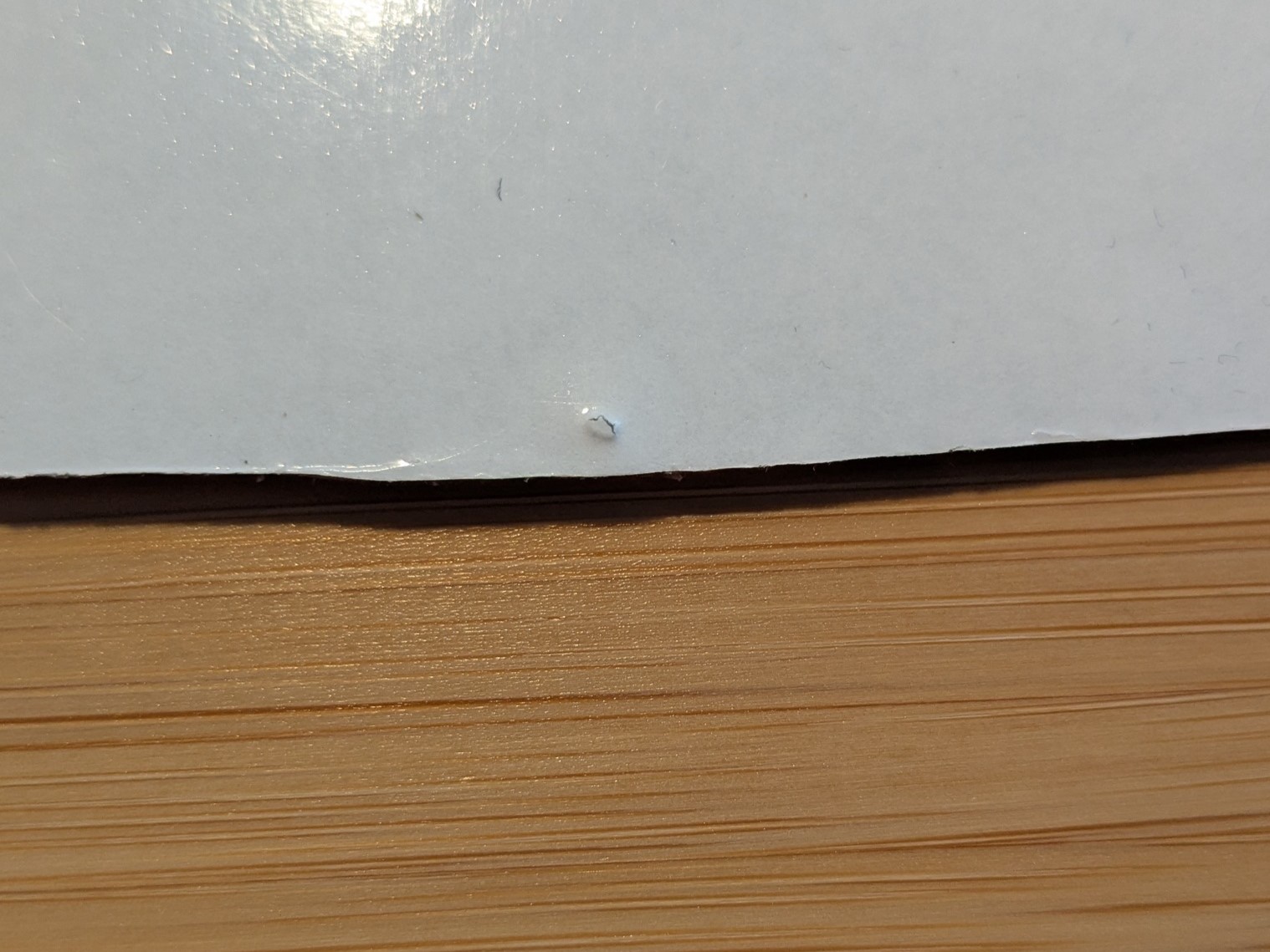 PXL_20250322_094621273.jpg