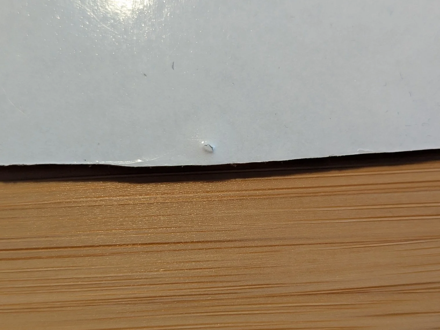 PXL_20250322_094621273.webp