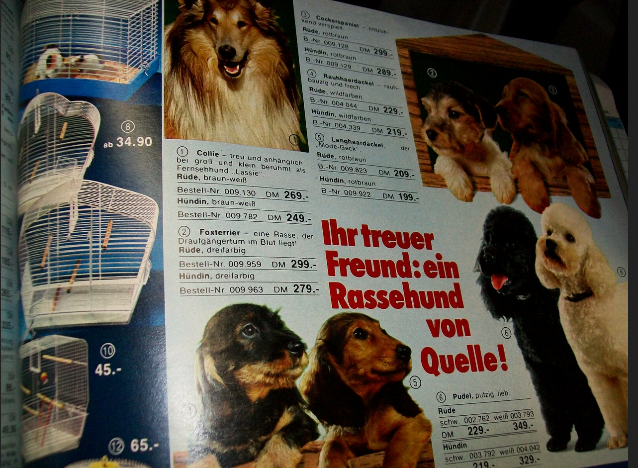 Quelle Katalog Tiere .png