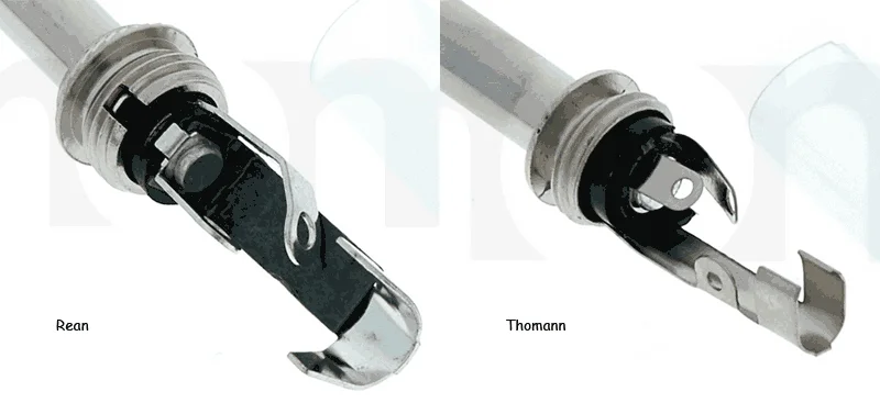 reanthomann.webp