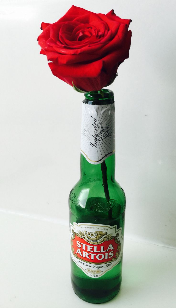 red rose in beer bottle.jpg