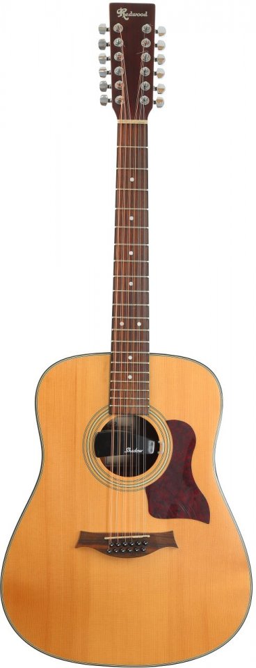 Redwood_01.JPG