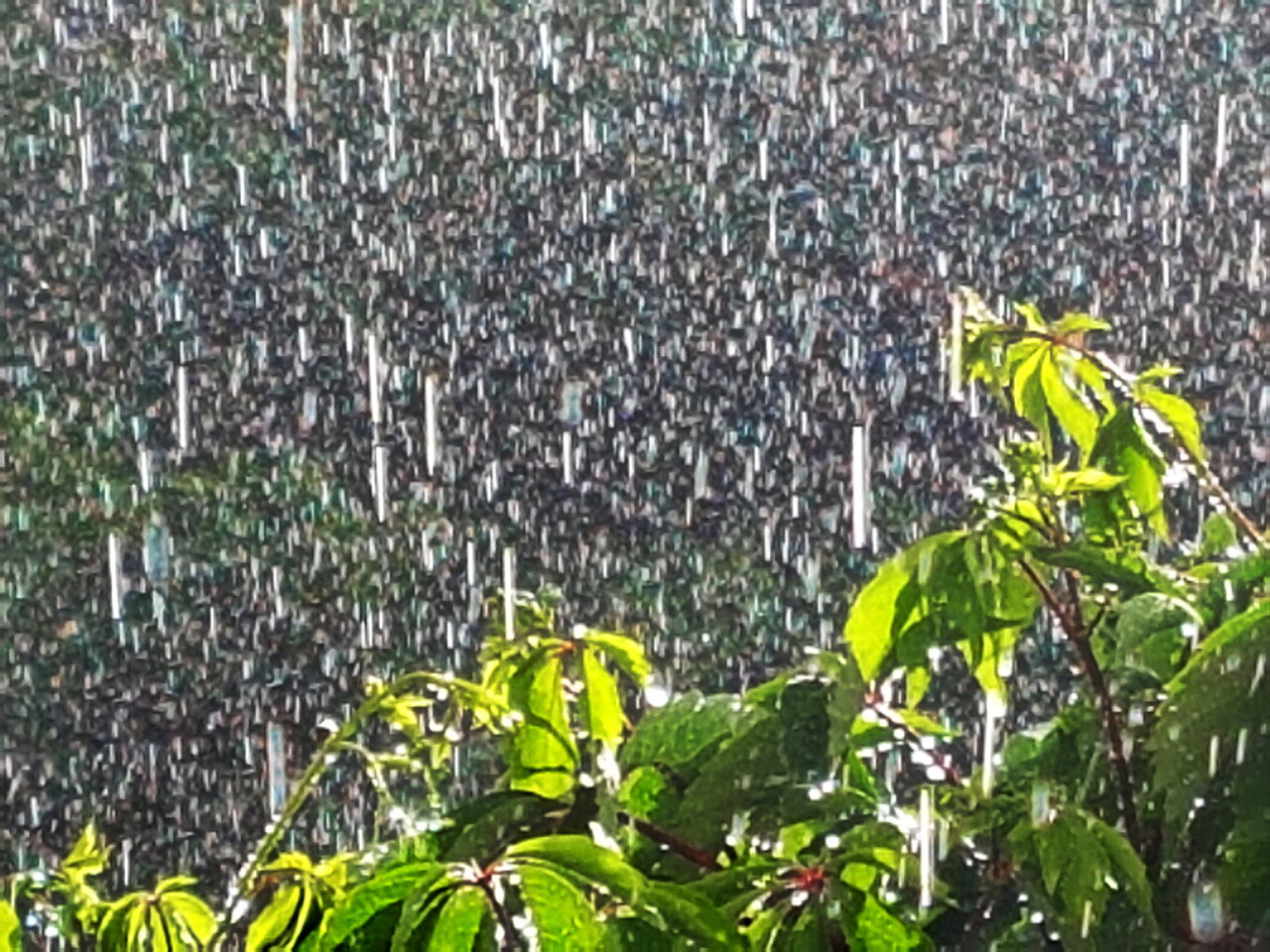 Regen.jpg