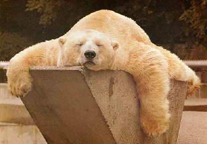 relax.jpg