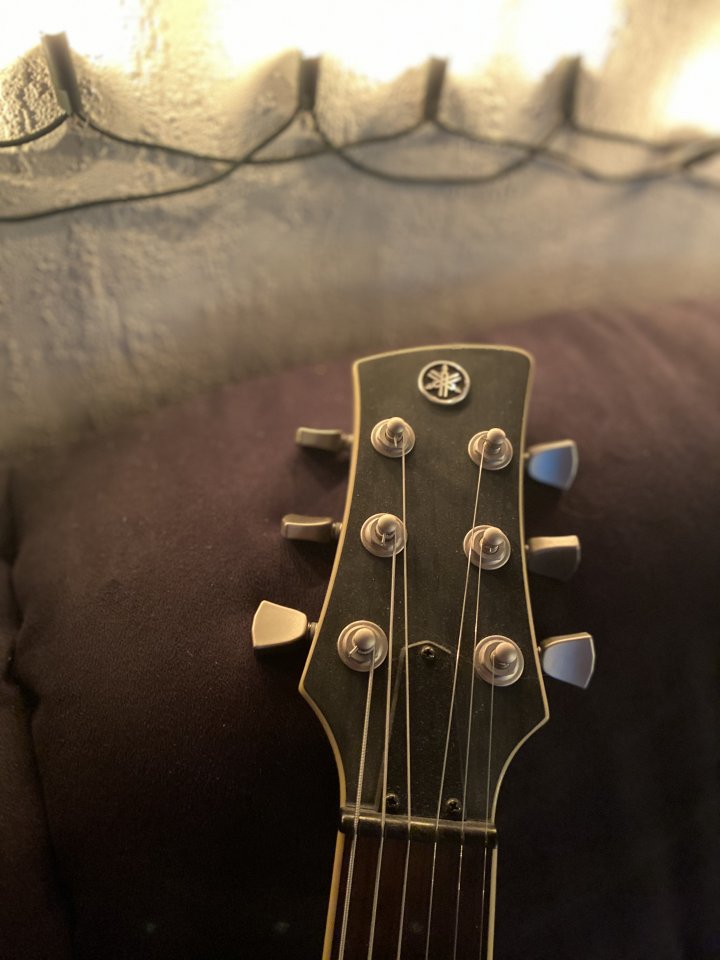 Revstar Headstock.jpg