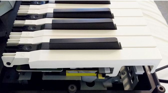 roland pha key action.jpg