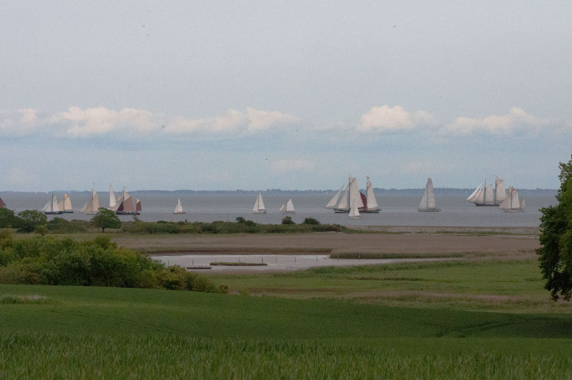 Rumregatta komp.jpg