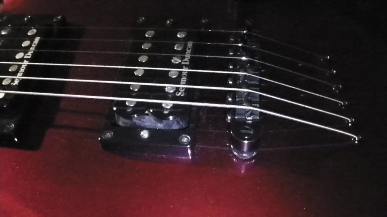 S1170013.JPG
