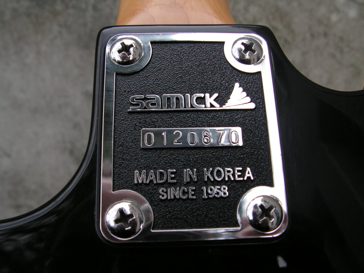 samick e-acoustic serial.jpg