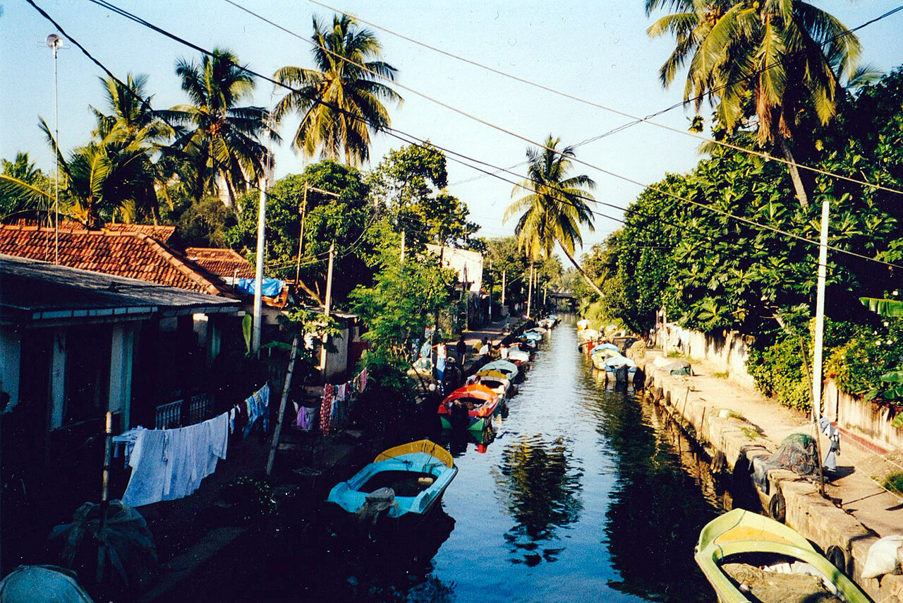 Scan 5.jpg